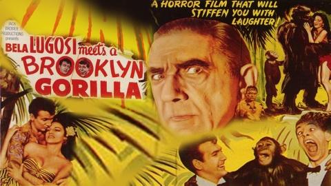 Bela Lugosi Meets a Brooklyn Gorilla (1952)