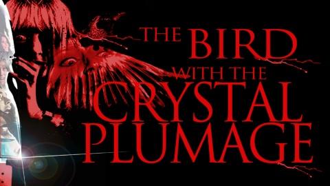 Bird With the Crystal Plumage (1970)