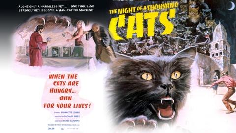 The Night of a Thousand Cats (1972)